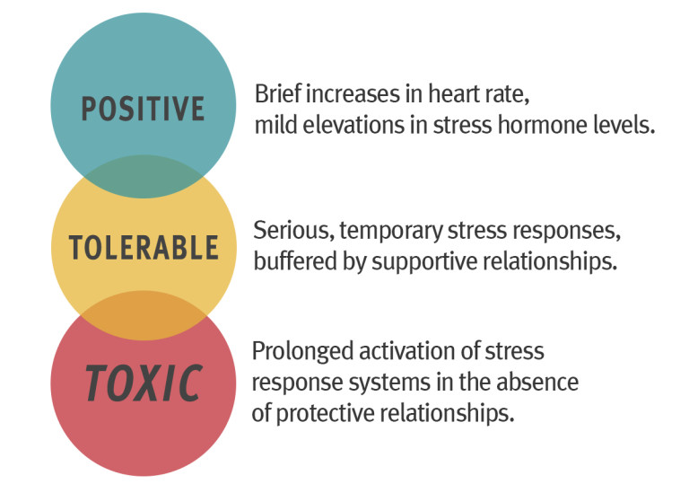 A graphic from the Center on the Developing Child at Harvard exploring the 3 different types of toxic stress: "positive stress- Brief increases in heart rate, mild elevations in stress hormone levels. Tolerable  stress- serious, temporary stress responses buffered by supportive relationships. Toxic- prolonged activation of stress response systems in the absence of protective relationships."