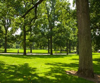 A park with green grass, trees, and people walking on a sidewalk.