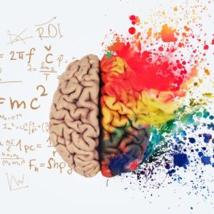 A brain showing the differences between the left and right brain processes. With math equations on the left, and paint explosion on the right side of the brain.